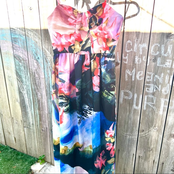 Corey Lynn Carter for Anthropologie Daybreak Midi Dress - Picture 3 of 6